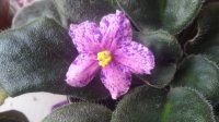20160614_104547.jpg