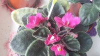 20160614_104601.jpg