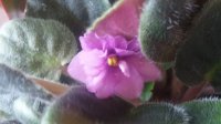 20160614_104628.jpg