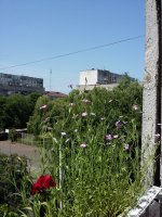 20160625_133245.jpg