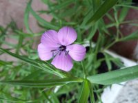 20160622_104007.jpg