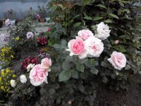 20160606194758.jpg