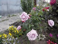 20160606194747.jpg