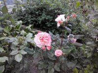 20160606194805.jpg