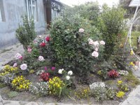 20160606194820.jpg