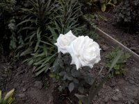 20160606194829.jpg