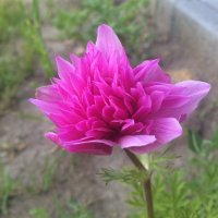 Image1467233914.963926.jpg