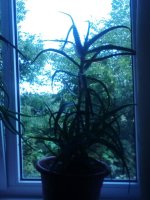 IMG_20160630_113932_1.jpg