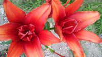 20160713_203828_HDR.jpg