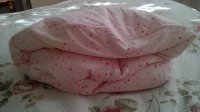 IMG_20160403_100016.jpg