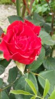 20160716_160134_HDR.jpg