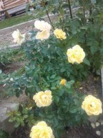 WP_002794.jpg