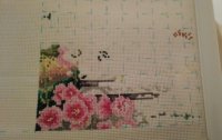_20160811_223332.JPG