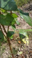 20160824_135418_HDR.jpg