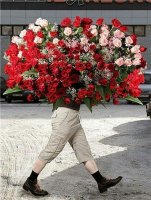 ImageUploadedByTapatalk1425932162.747952.jpg