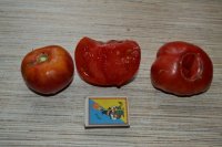 DSC_0091.JPG