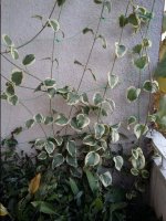 20161020_174923.jpg