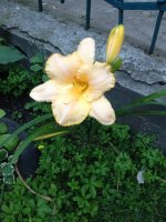 iphoto 076.JPG
