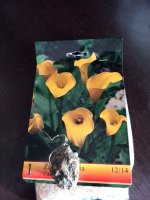 IMG_20150316_165216.jpg