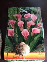 IMG_20150316_165239.jpg
