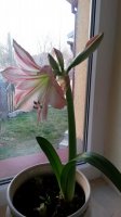 20150316_173959.jpg