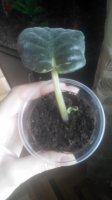20150319112918.jpg