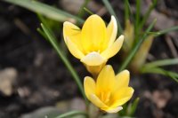 DSC_1197.JPG