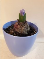 20170125_212300.jpg