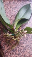 20170308_144430.jpg