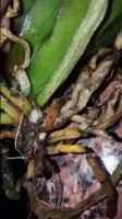 20170308_144633.jpg