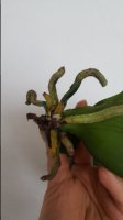 20170308_150134.jpg