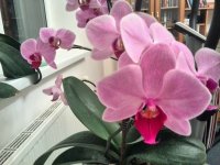 IMG_20170331_002325.jpg