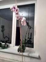 IMG_20160723_223054.jpg