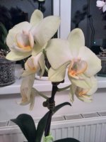 IMG_20170331_002142.jpg