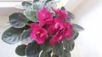 20170416_172218.jpg