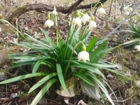 2015-03-26 12.14.24.jpg
