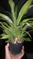 20150329_195453.jpg