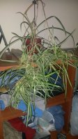 20150329_195432.jpg