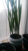 20150329_195350.jpg