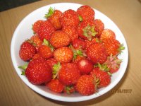 IMG_7835.JPG
