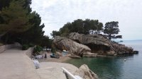 20170610_103749.jpg