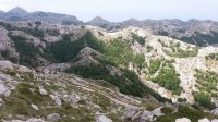 20170605_111915.jpg