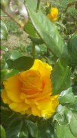 20170616_104841.jpg