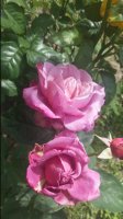 20170616_104806.jpg