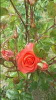 20170614_115158.jpg