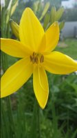 20170531_172352.jpg