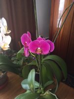 IMG_1731.JPG