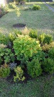 IMG_20170729_195511.jpg