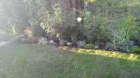 IMG_20170729_195653.jpg