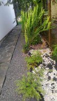 IMG_20170729_195838.jpg